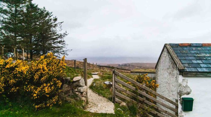 Práce v Irsku – kde hledat, nabídka práce pro Čechy a zkušenosti práce v Irsku