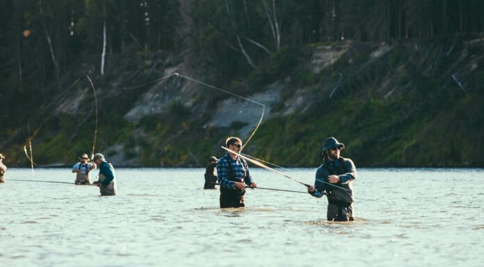 Práce na Aljašce práce na aljašce