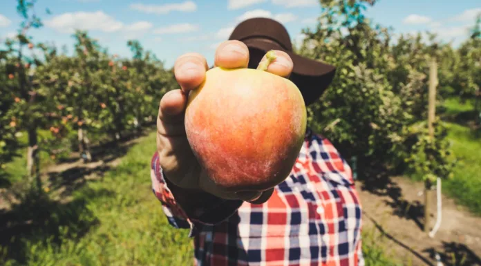 Letní brigáda v zahraničí letní brigáda v zahraničí